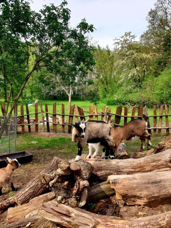 Natur- und Erholungsurlaub Bensdorfer Mühle Exterior foto
